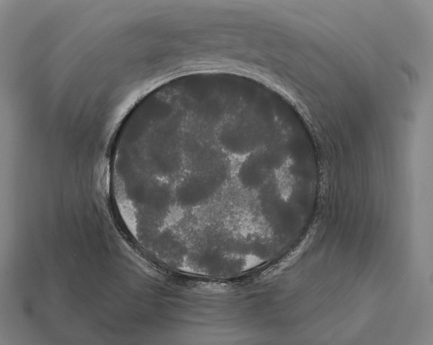 X0000113081509200909250939