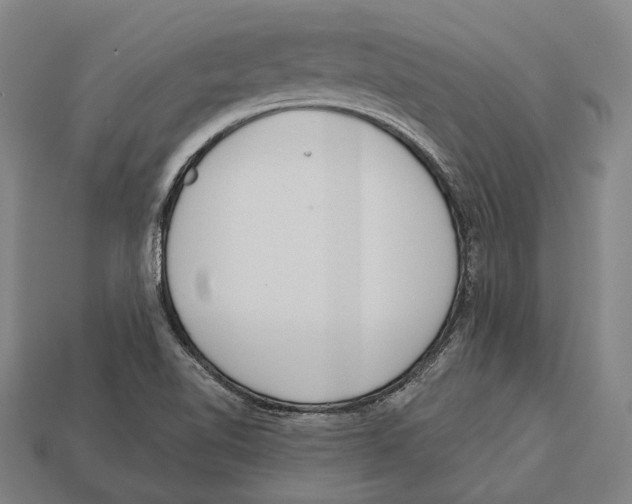 X0000113081510200909250939