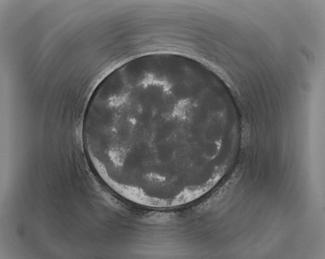 X0000113081513200909250939