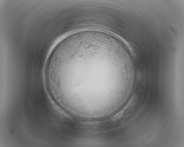 X0000113081514200909250939