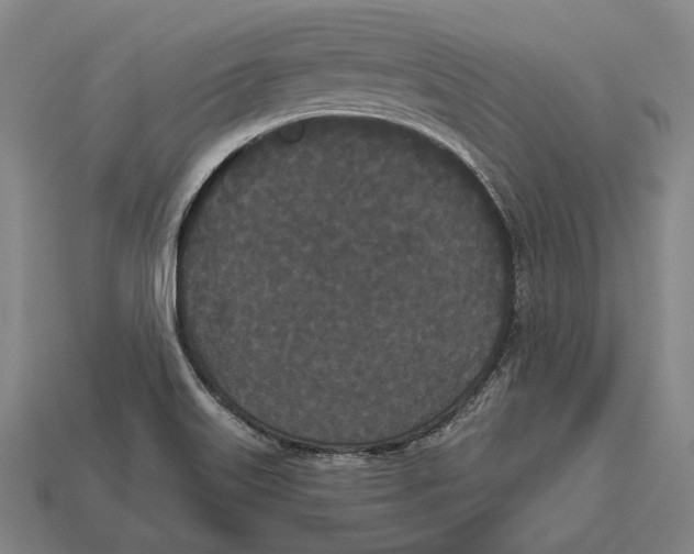 X0000113081515200909250939