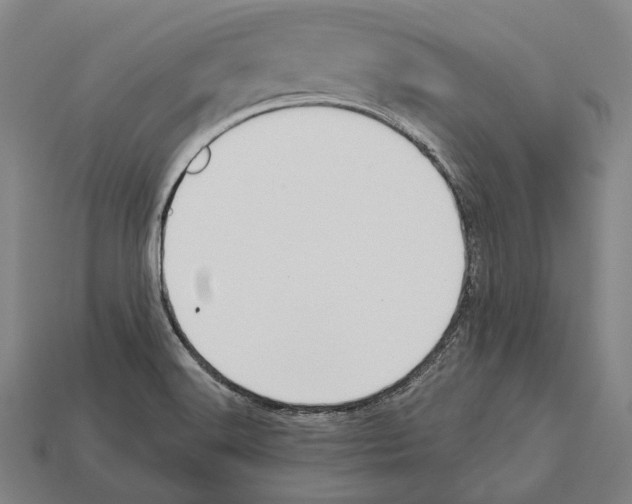 X0000113081516200909250939