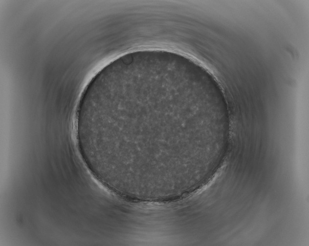 X0000113081517200909250939