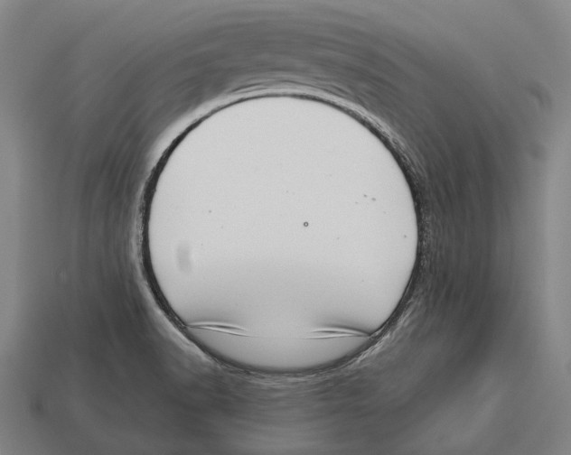 X0000113081518200909250939