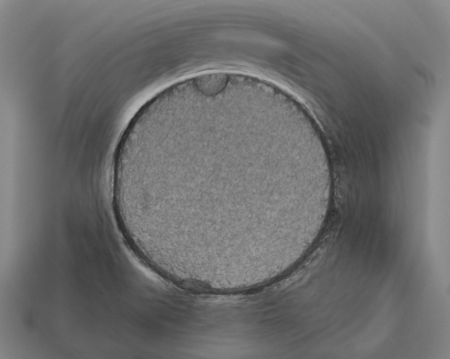 X0000113081519200909250939