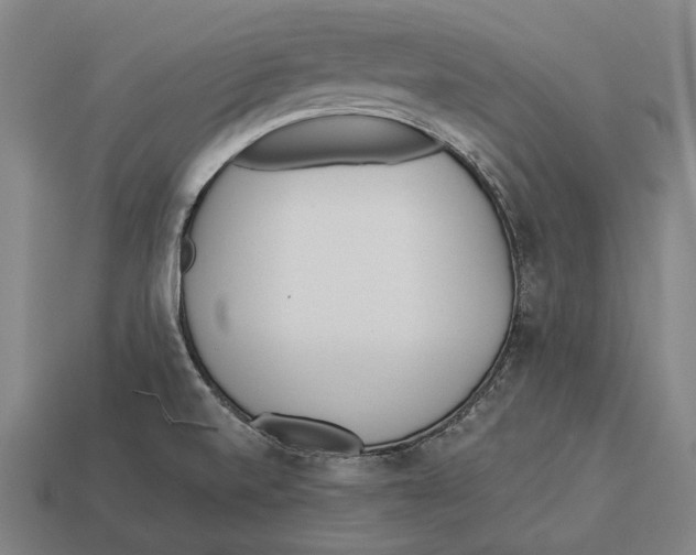 X0000113081520200909250939