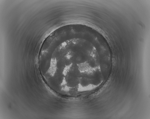 X0000113081521200909250939