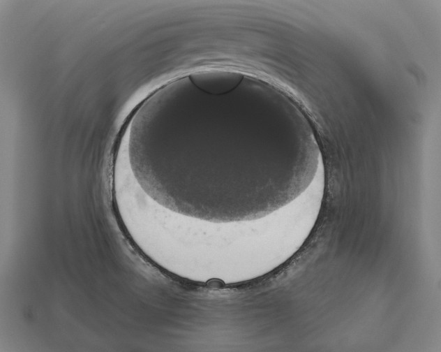 X0000113081522200909250939