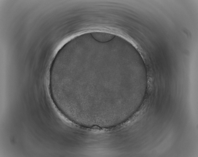 X0000113081523200909250939