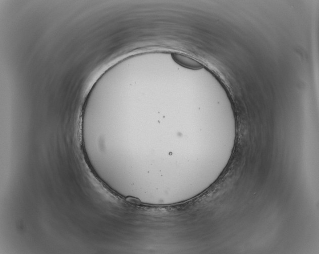 X0000113081524200909250939