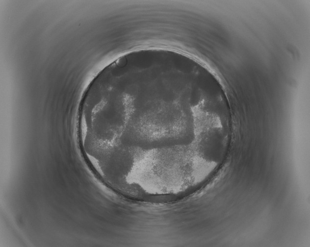X0000113081525200909250939
