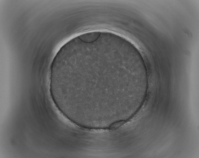 X0000113081526200909250939