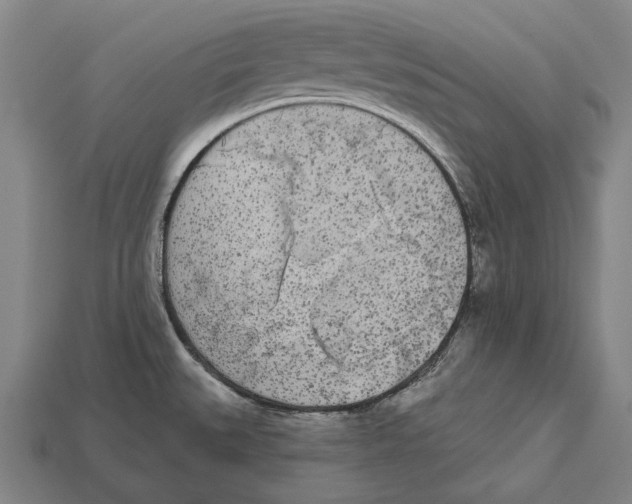 X0000113081527200909250939