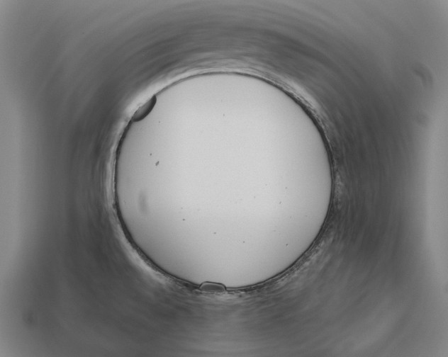 X0000113081528200909250939
