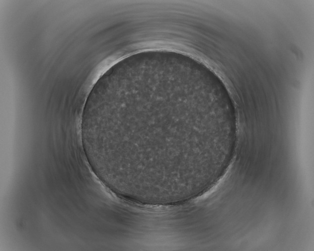X0000113081529200909250939