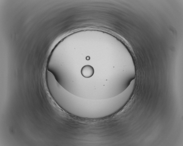 X0000113081530200909250939