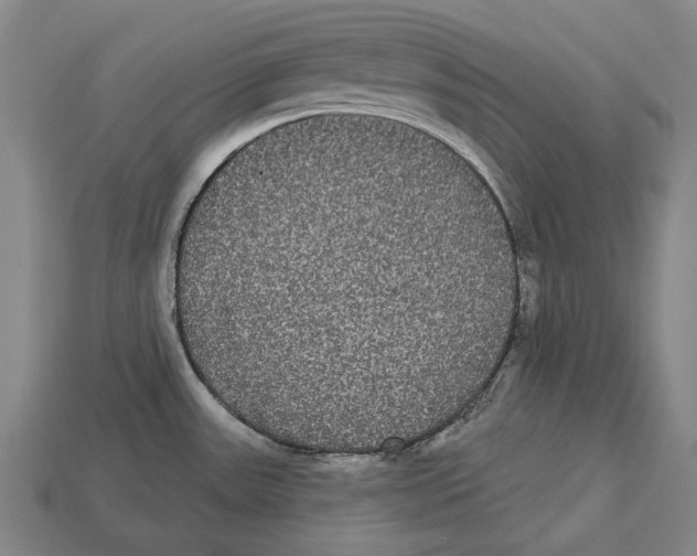 X0000113081531200909250939