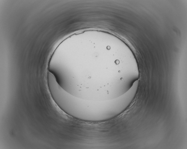 X0000113081532200909250939