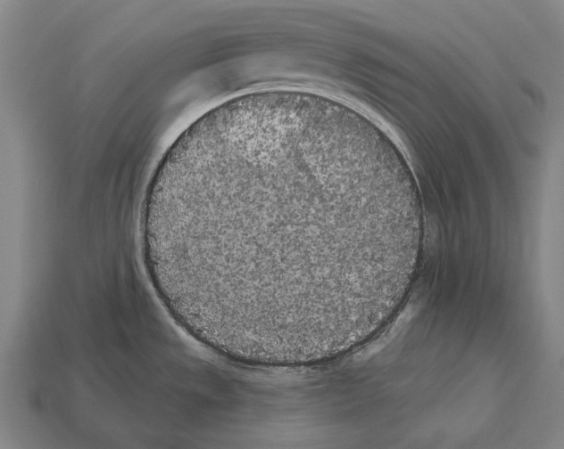 X0000113081533200909250939