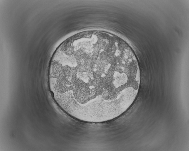 X0000113081534200909250939