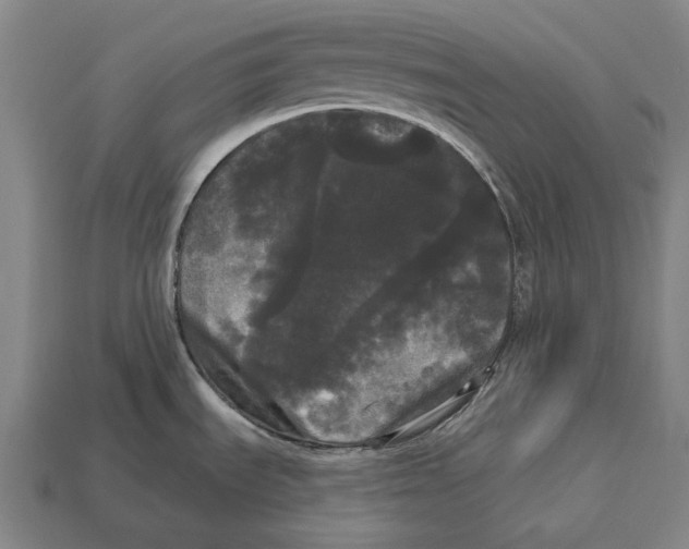 X0000113081535200909250939