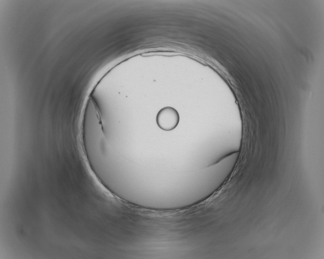 X0000113081536200909250939