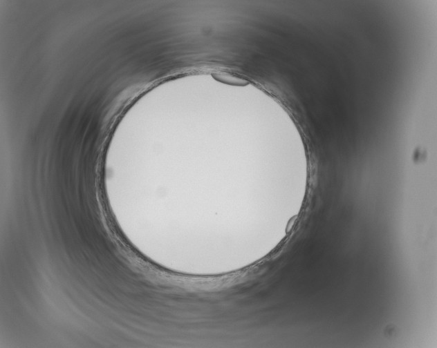 X0000113080001200910091244