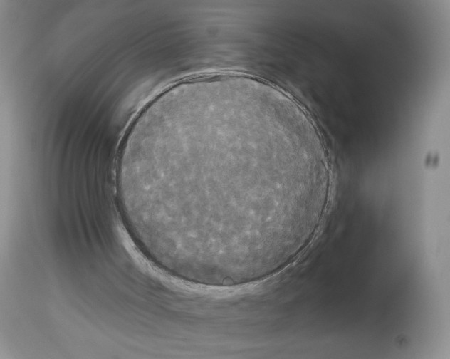 X0000113080002200910091244