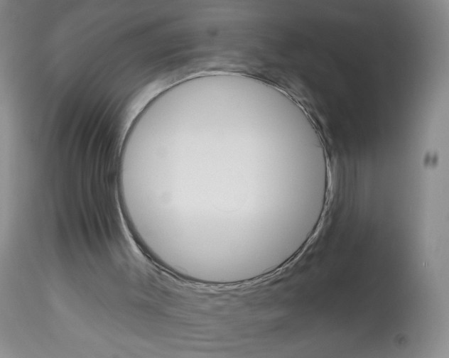 X0000113080003200910091244