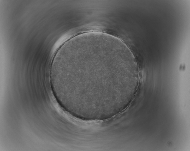 X0000113080004200910091243