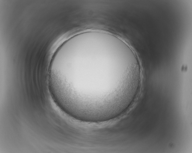 X0000113080007200910091243