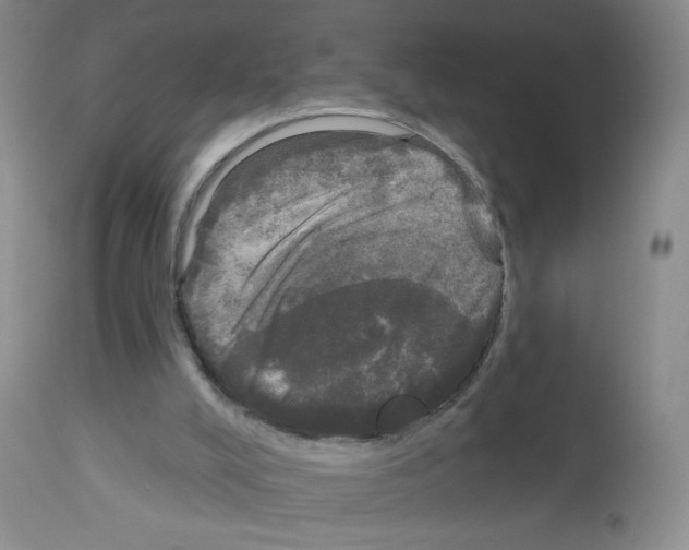 X0000113080008200910091243