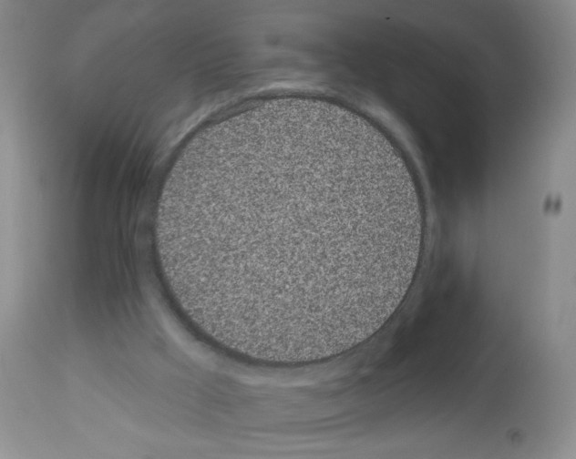X0000113080009200910091243