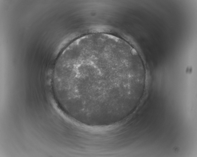 X0000113080010200910091243