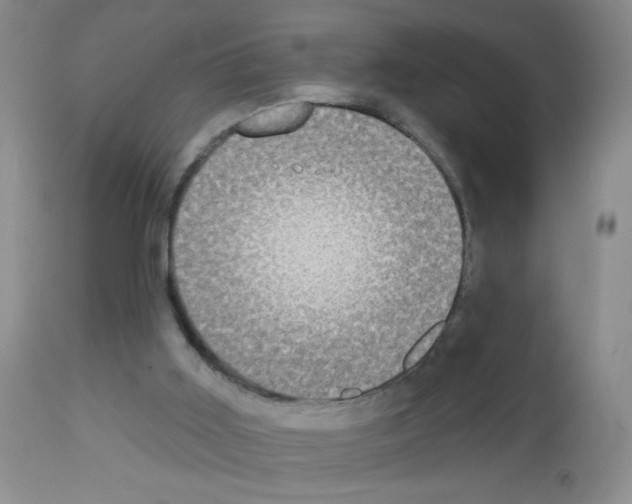 X0000113080011200910091243