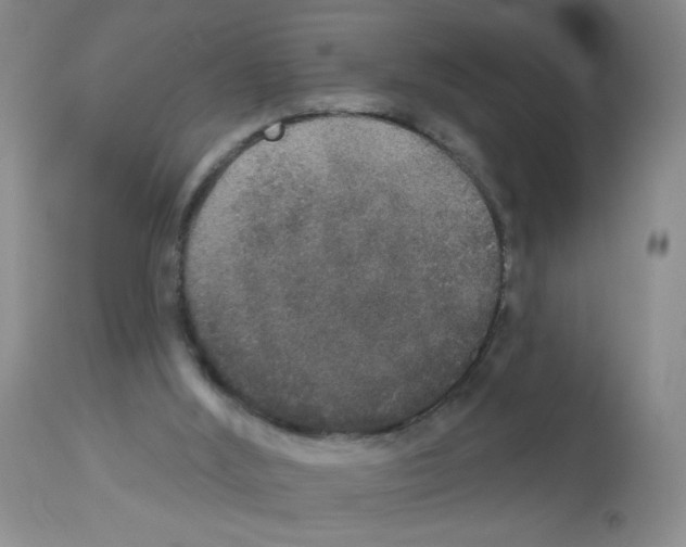 X0000113080012200910091243
