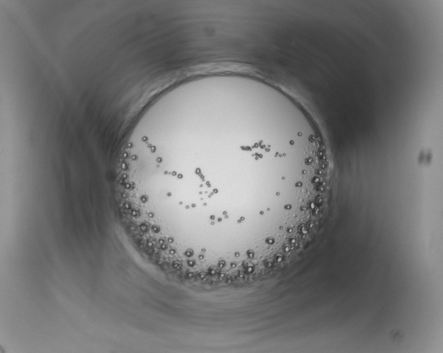 X0000113080013200910091243