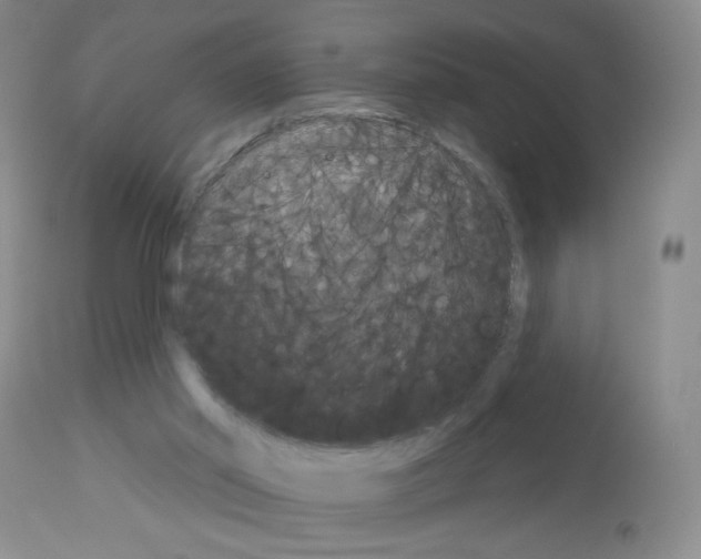 X0000113080014200910091243