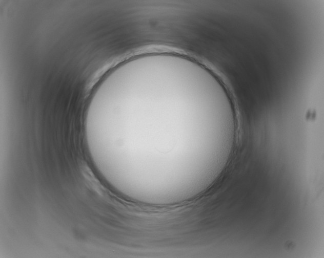 X0000113080015200910091243