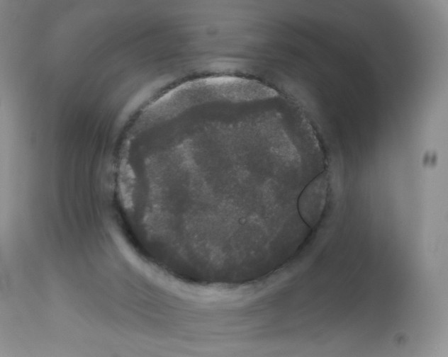 X0000113080016200910091243