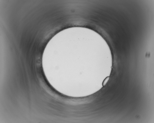 X0000113080017200910091243