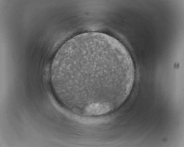 X0000113080018200910091243