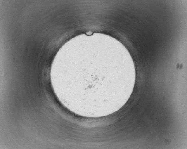 X0000113080021200910091243