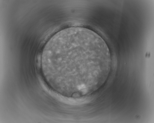 X0000113080022200910091243