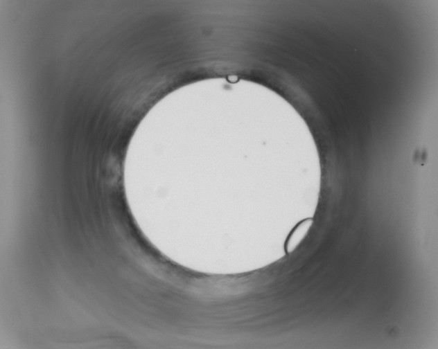X0000113080025200910091243