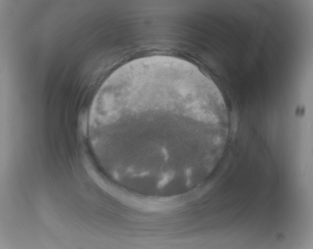 X0000113080028200910091243