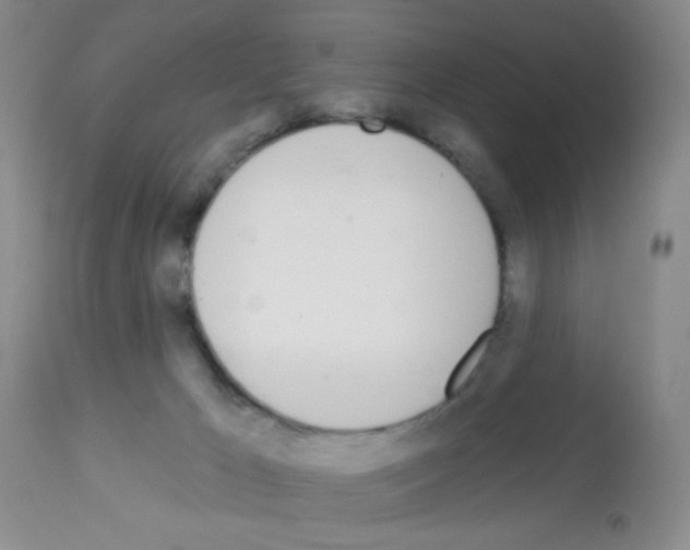 X0000113080029200910091243