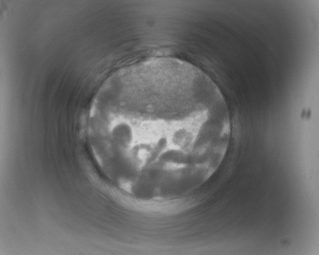 X0000113080030200910091243