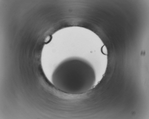 X0000113080031200910091243