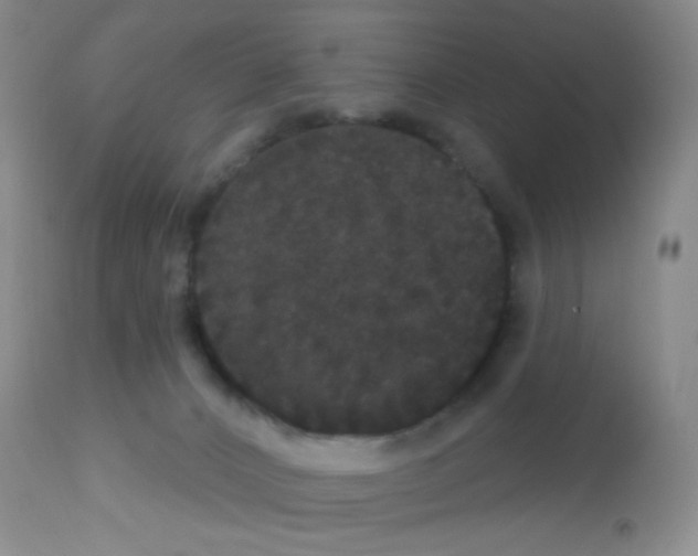 X0000113080032200910091243